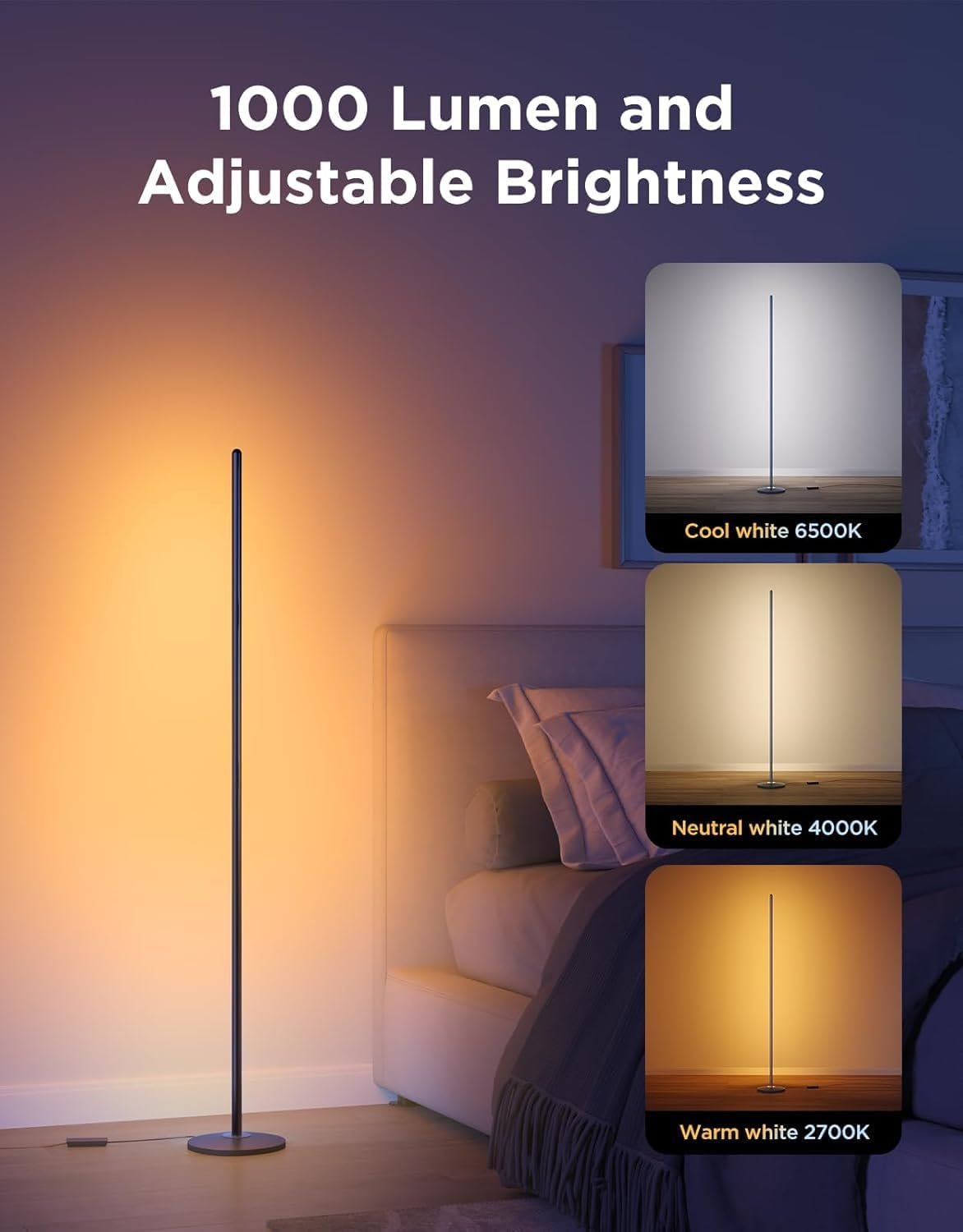 RGBIC floor lamp