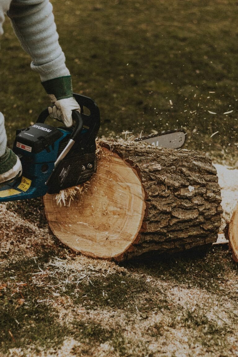 Portable Electric Chainsaw: 7 Best Ways To Boost Cutting Power (Proven Guide) 21 portable electric chainsaw